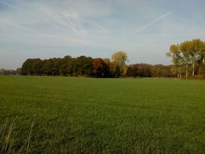 Landschap Ockhorst wandeling Wichmond / Vierakker